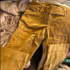 the limited casady fit pant size 6 regular